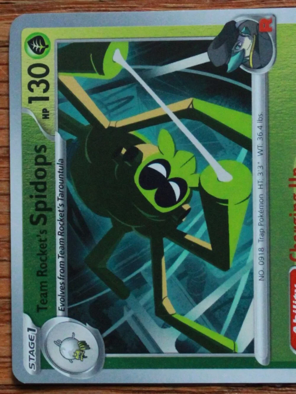 Pokemon 